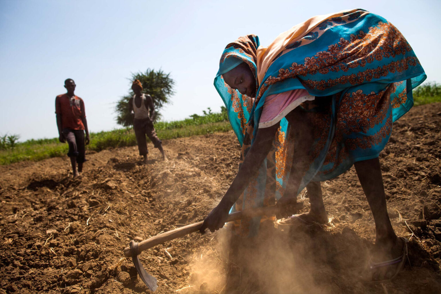 Food Security Rapidly Deteriorating In Sudan Dabanga Radio Tv Online